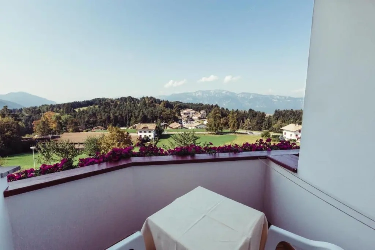 Standard Double room with balcony and with view