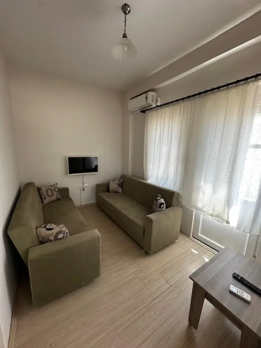 Economy Apartment