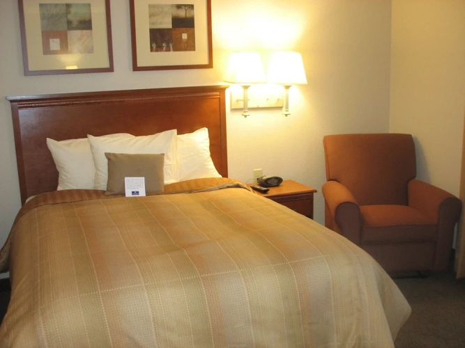 1 Bedroom Suite