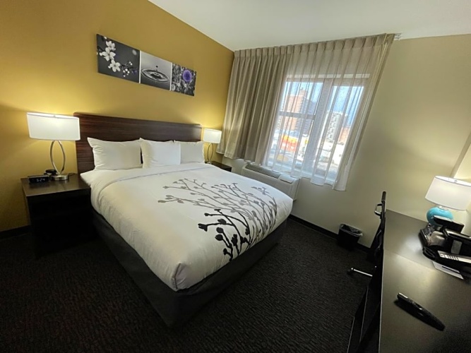 1 Bedroom Standard Double room