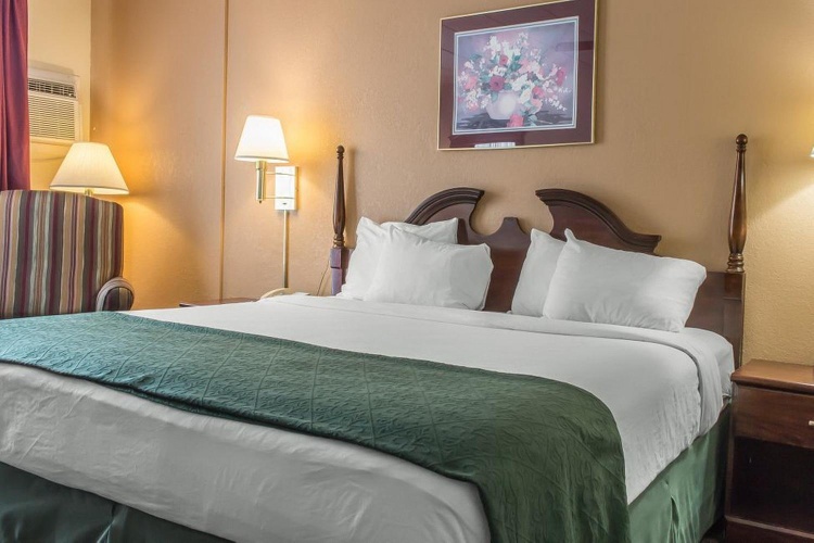 Standard Double room