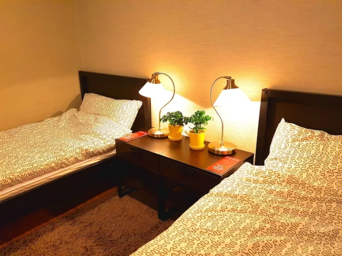 Deluxe Twin room with balcony