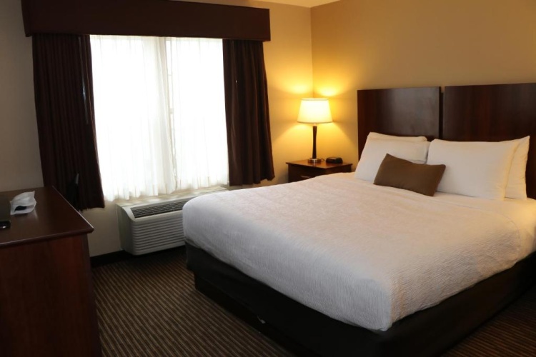 1 Bedroom Suite