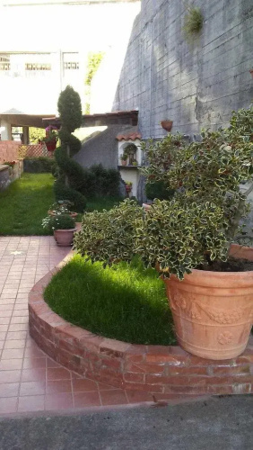 Animosa Suites