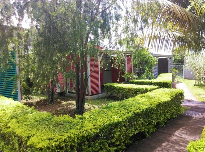 Outside