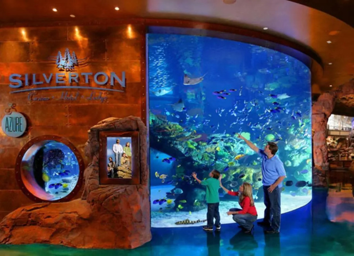 Silverton Casino Hotel photo 33