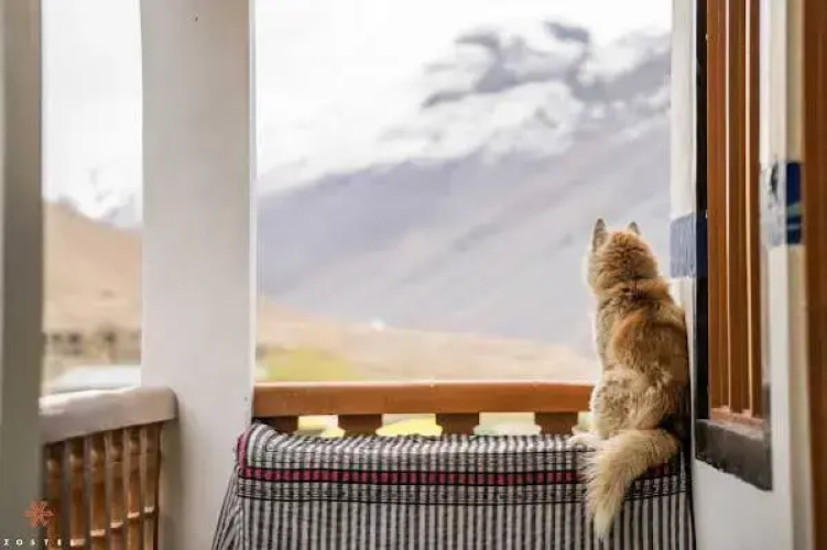 Zostel Spiti