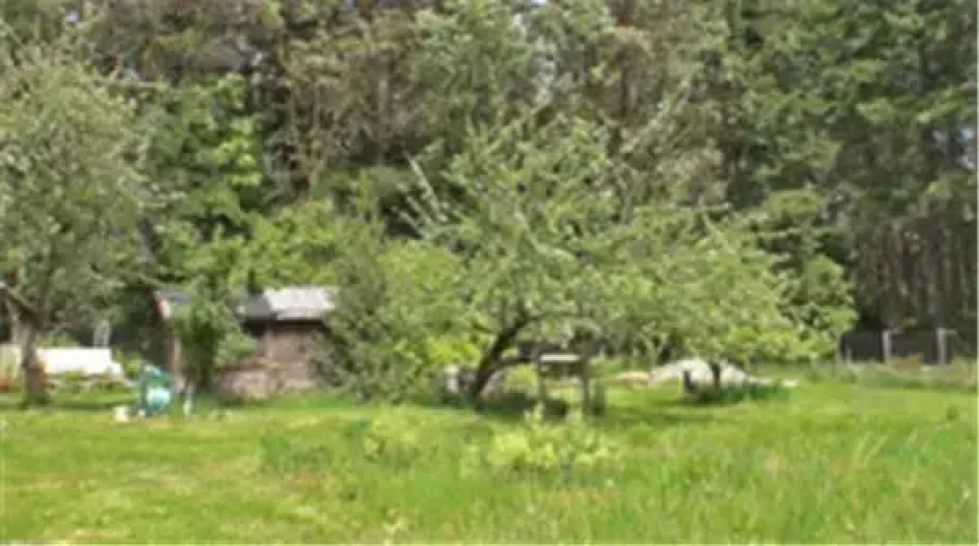 wurhere bed and breakfast