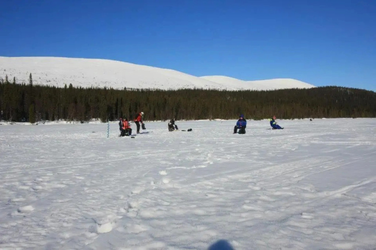 Kyrön Loma
