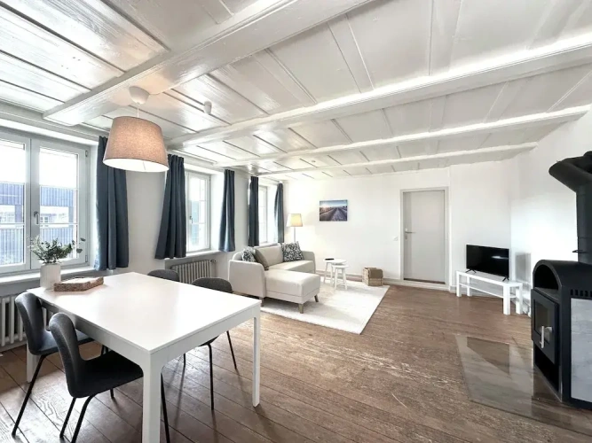 Business Apartment