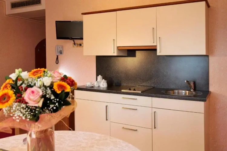 1 Bedroom Apartment with view