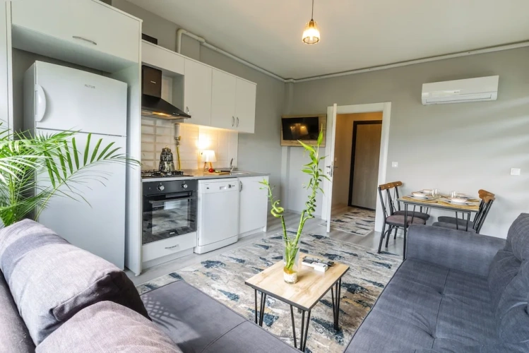 Standard Apartment