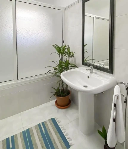 Economy Single room with mountain view
