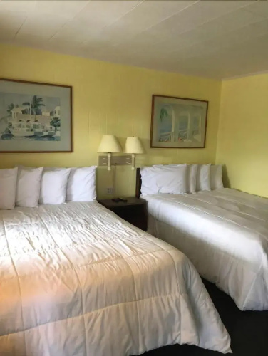 Swell Motel