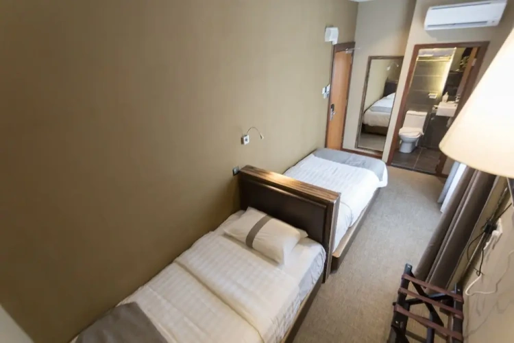 Superior Twin room with city view