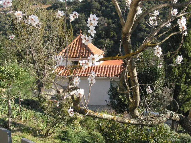 Suite with balcony and with view