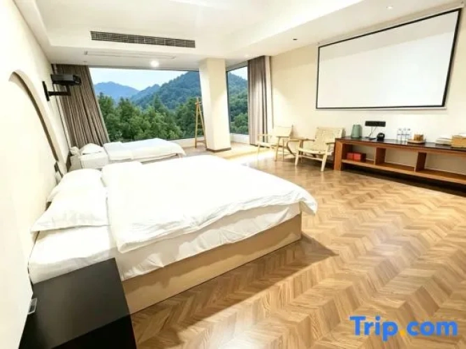 Standard Double room with mountain view