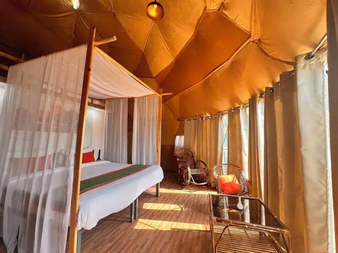 Nestonature Glamping Dharamshala