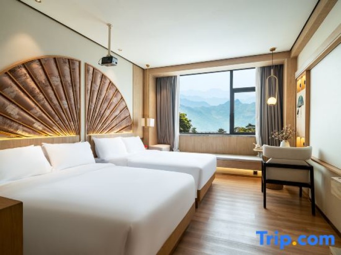 Standard Double room with city view
