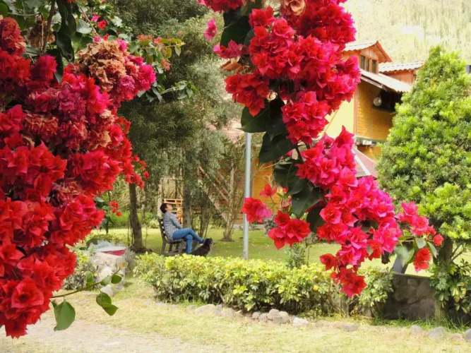 La Casta
