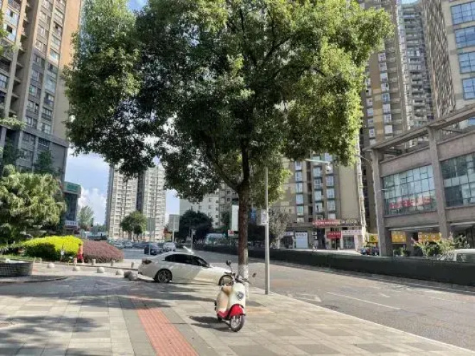 Xujing Boutique Hotel