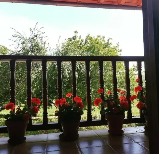 Standard Double room with balcony
