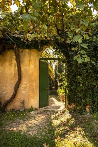 Cottage