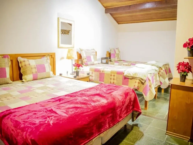 Comfort Suite