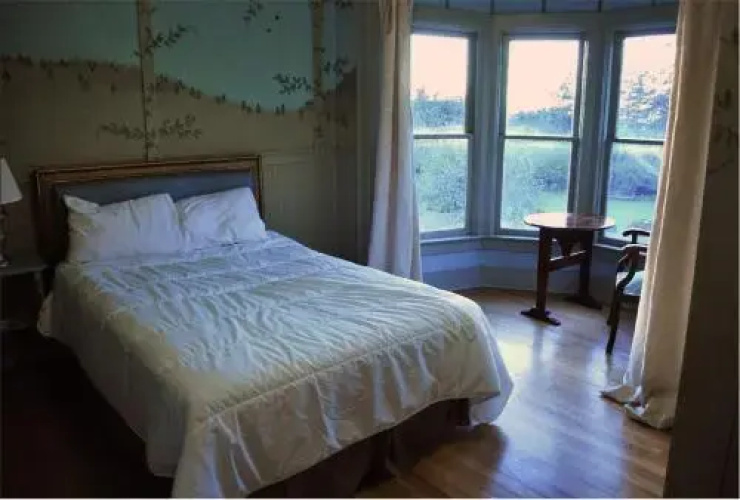 Golden Tree Hostel