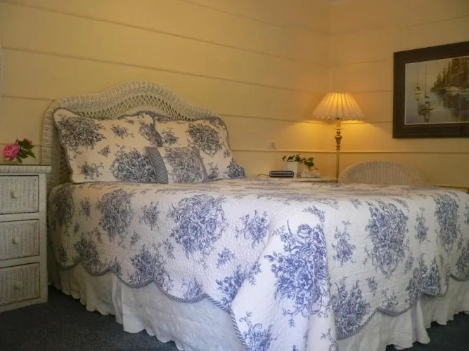 Standard Twin room with balcony and with lake view
