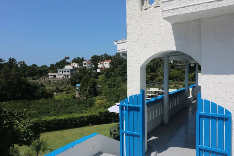 White Whale Guesthouse - Hostel