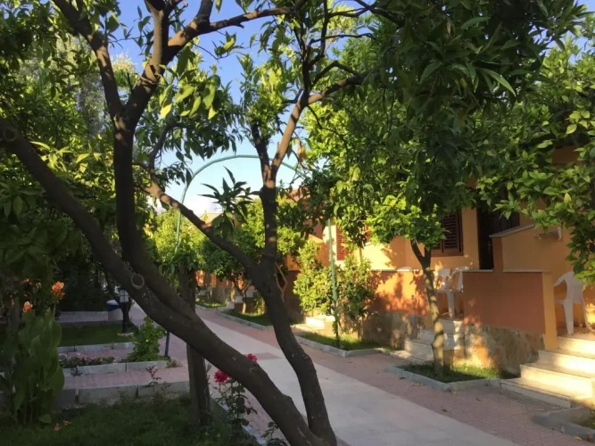 Standard Bungalow with balcony and with view
