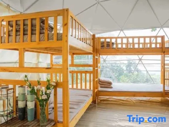 Family Tent with garden view