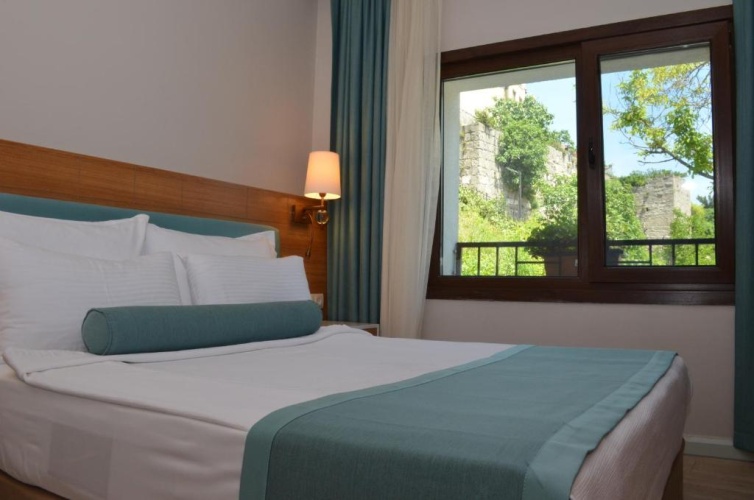 Standard Double room with garden view
