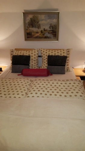 Comfort Suite