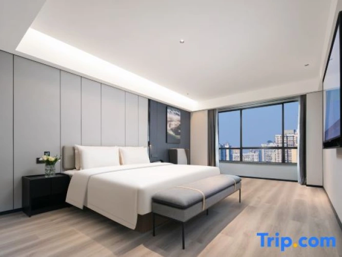 Executive Double Suite with city view