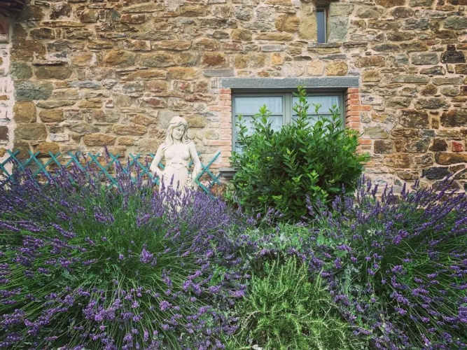 Podere Paradiso