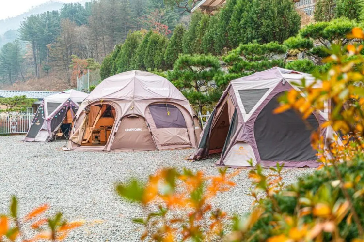 Dorothy's Forest Pension