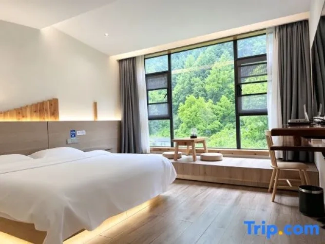 Standard Double room with mountain view