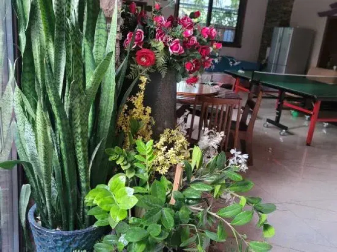 Rainforest Daixiang hot spring Inn