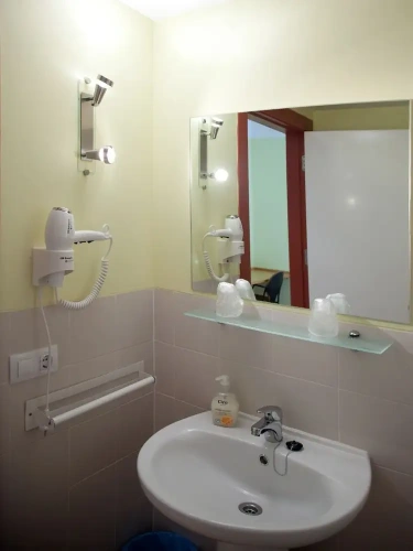 Standard Single room with garden view