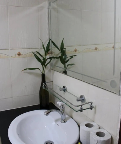 Tropical Bamboo