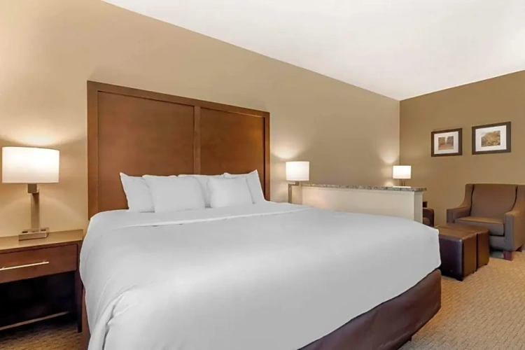 Superior Double Suite