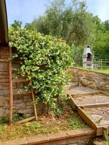 Radici House