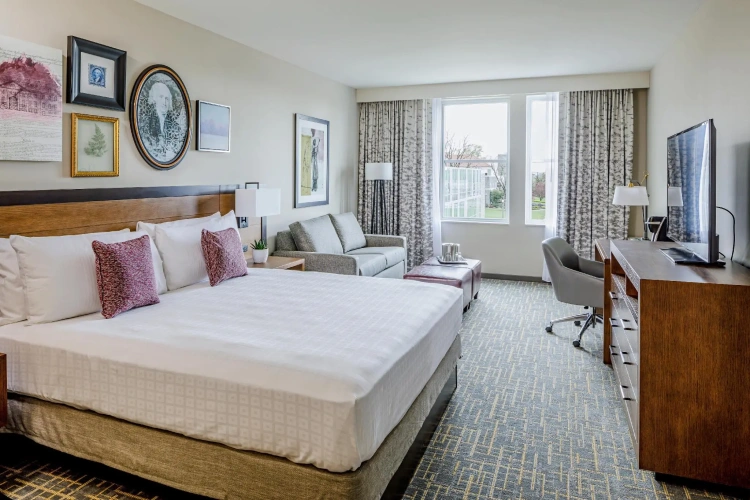 Deluxe Double room