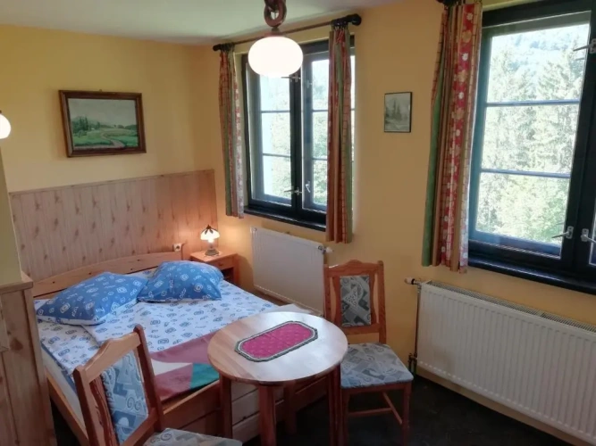 Double Studio with mountain view