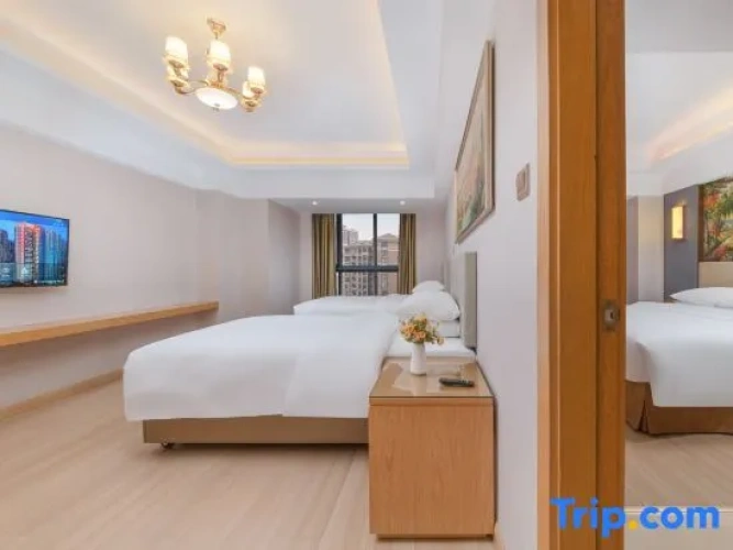 1 Bedroom Suite
