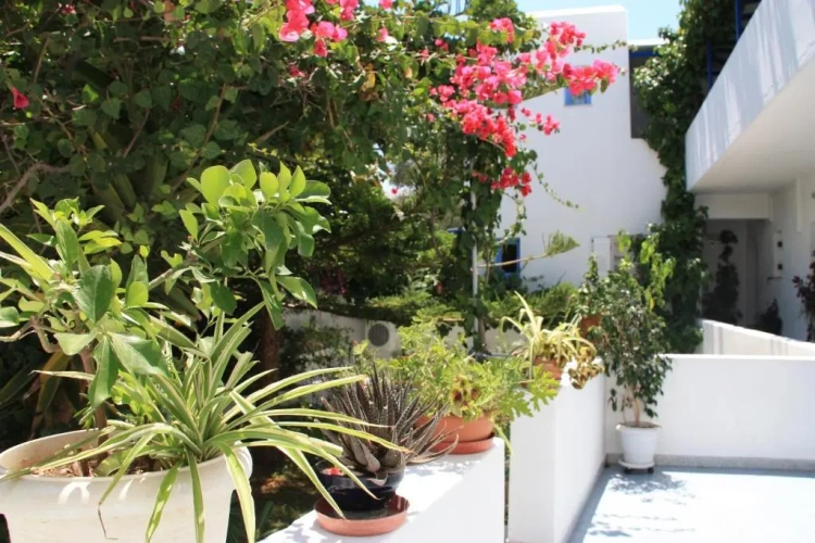 Standard Double room with balcony and with view