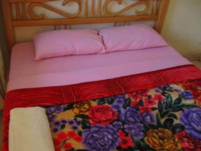 Alpha Resort Hotel