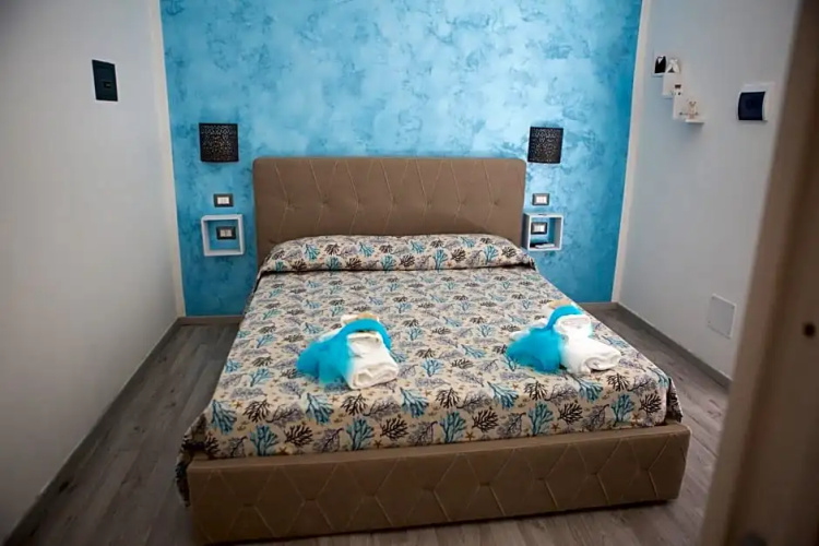 B&B Dionea